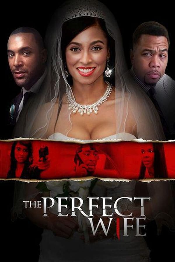 Cover of the movie The Perfect Wife