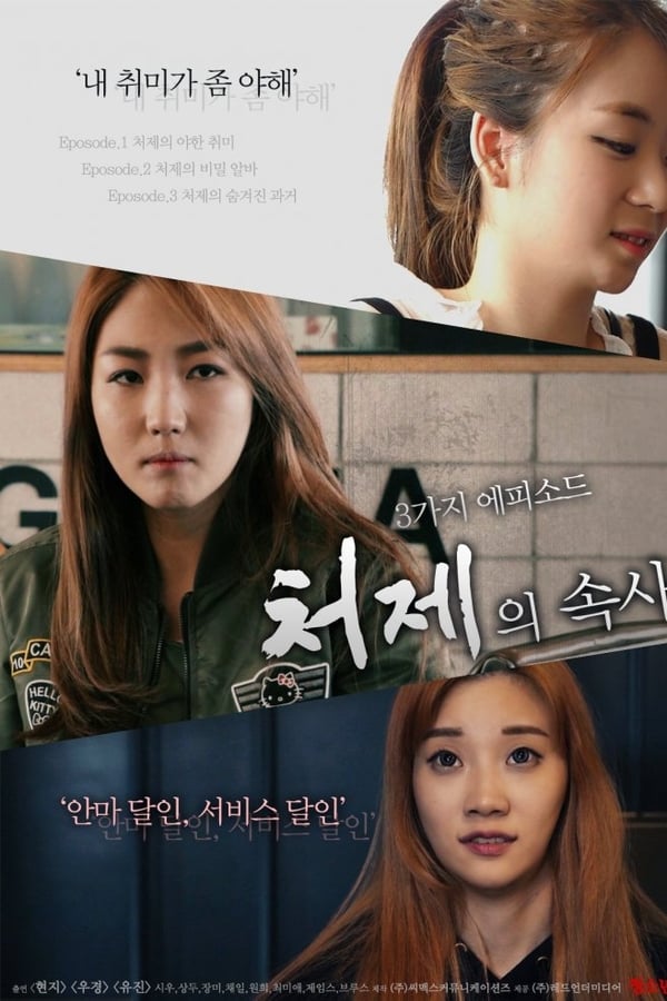 Cover of the movie The Sister-in-Law Affairs
