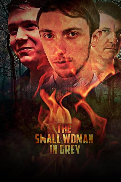 Cover of the movie The Small Woman in Grey