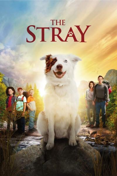 Cover of the movie The Stray
