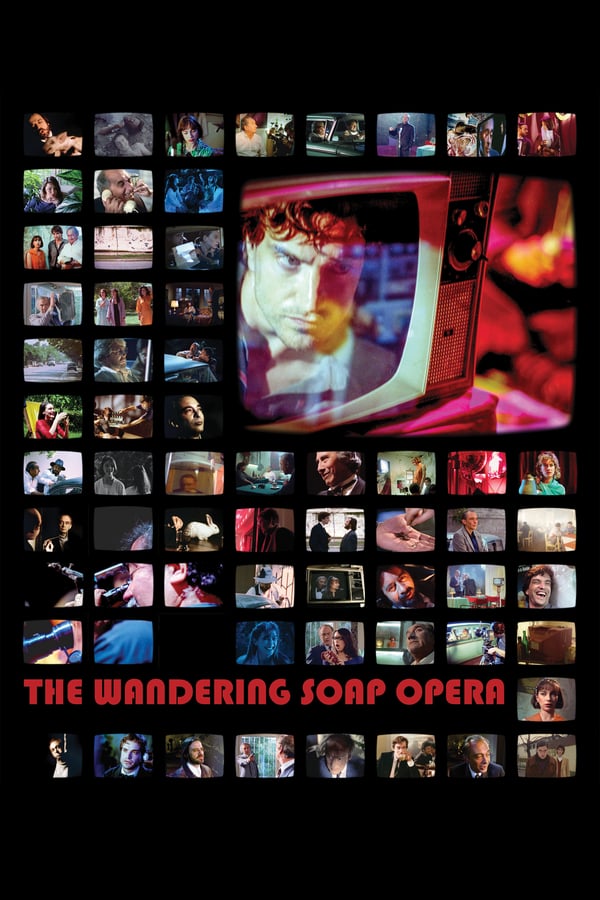 Cover of the movie The Wandering Soap Opera