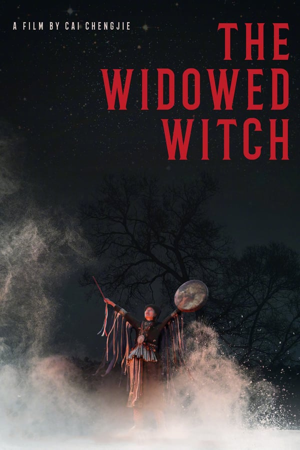 Cover of the movie The Widowed Witch