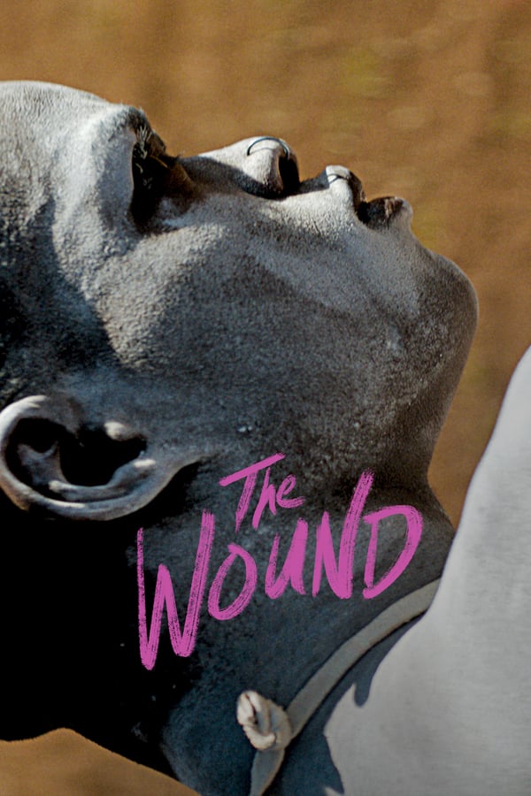 Cover of the movie The Wound
