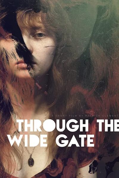 Cover of Through the Wide Gate