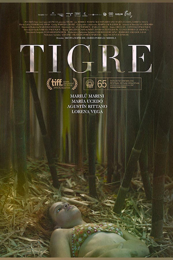 Cover of the movie Tigre