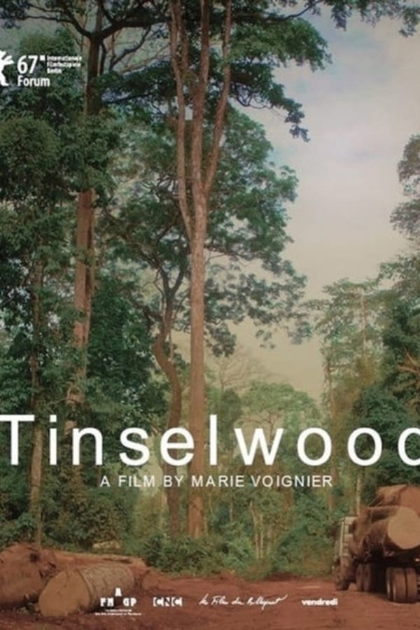 Cover of the movie Tinselwood