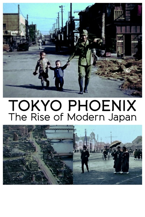 Cover of the movie Tokyo Phoenix