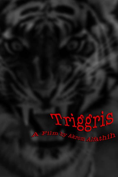 Cover of Triggris