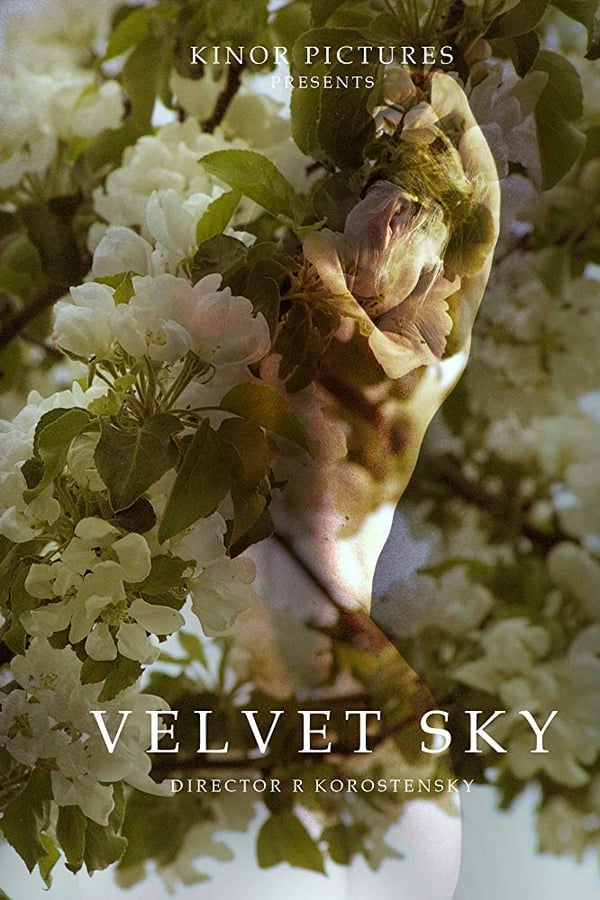 Cover of the movie Velvet Sky