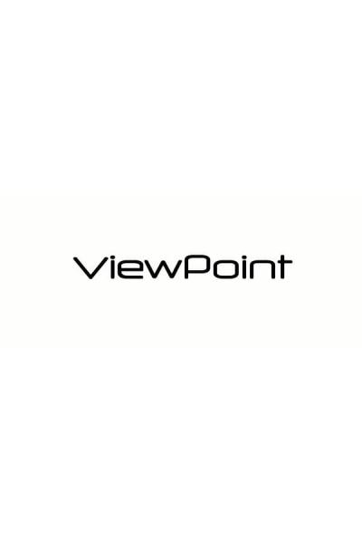 Cover of ViewPoint