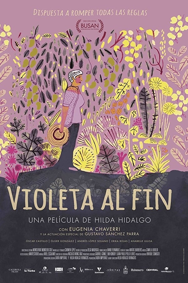 Cover of the movie Violeta al fin