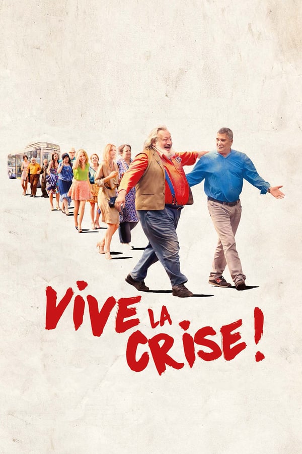 Cover of the movie Vive la crise !