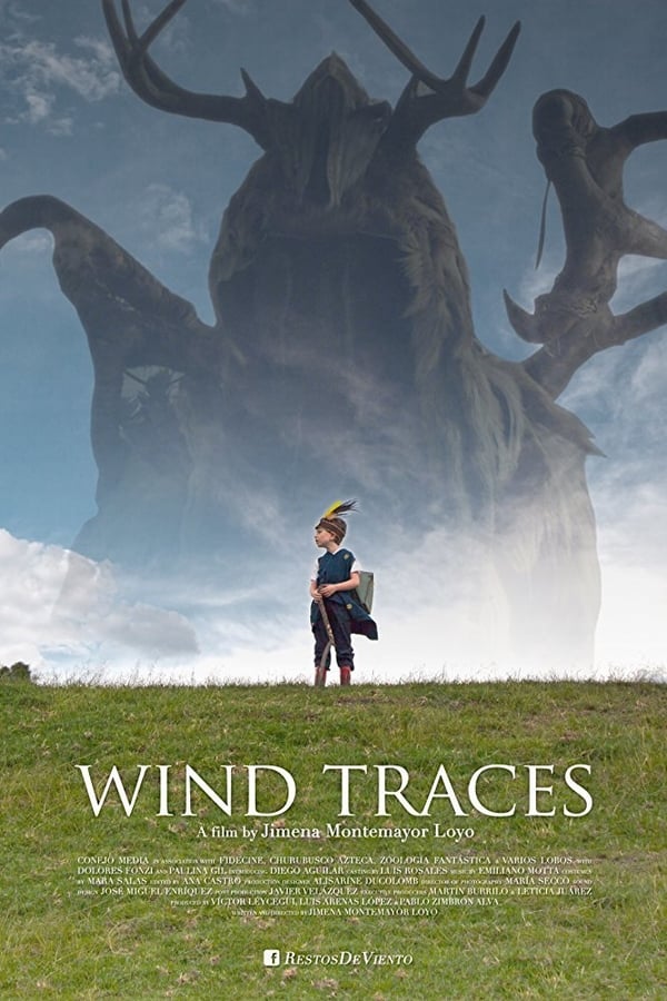 Cover of the movie Wind Traces