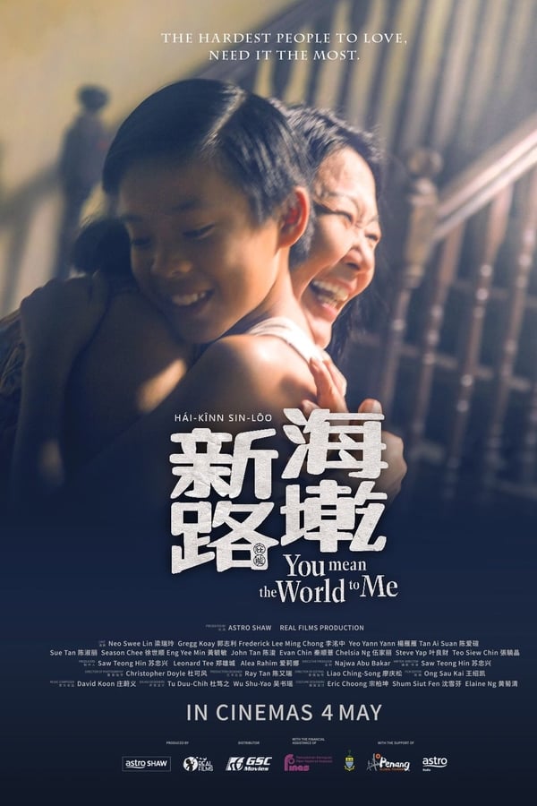 Cover of the movie You Mean The World To Me