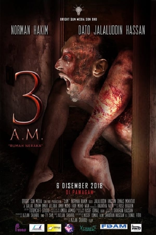 Cover of the movie 3AM