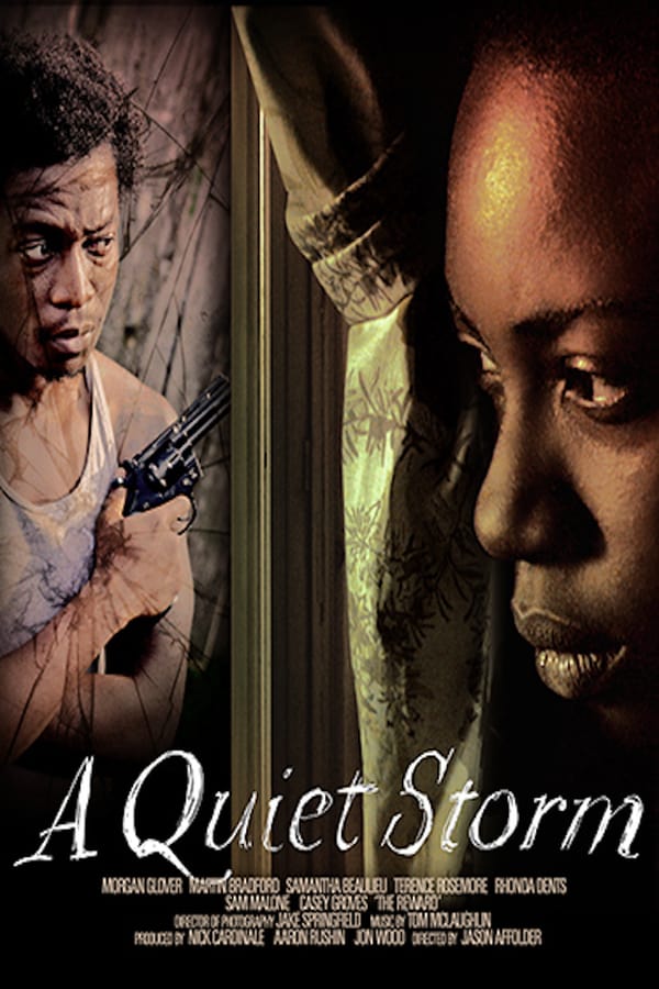 Cover of the movie A Quiet Storm