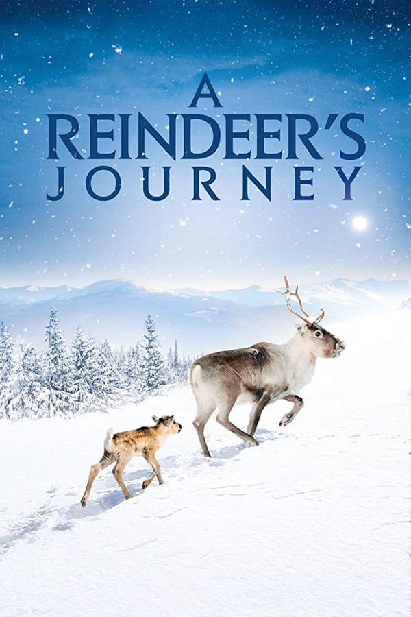 Cover of the movie A Reindeer's Journey