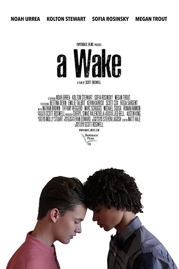 Cover of the movie A Wake