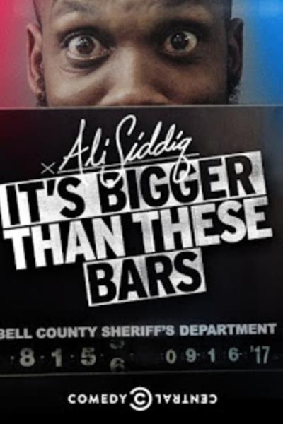 Cover of the movie Ali Siddiq: It's Bigger Than These Bars
