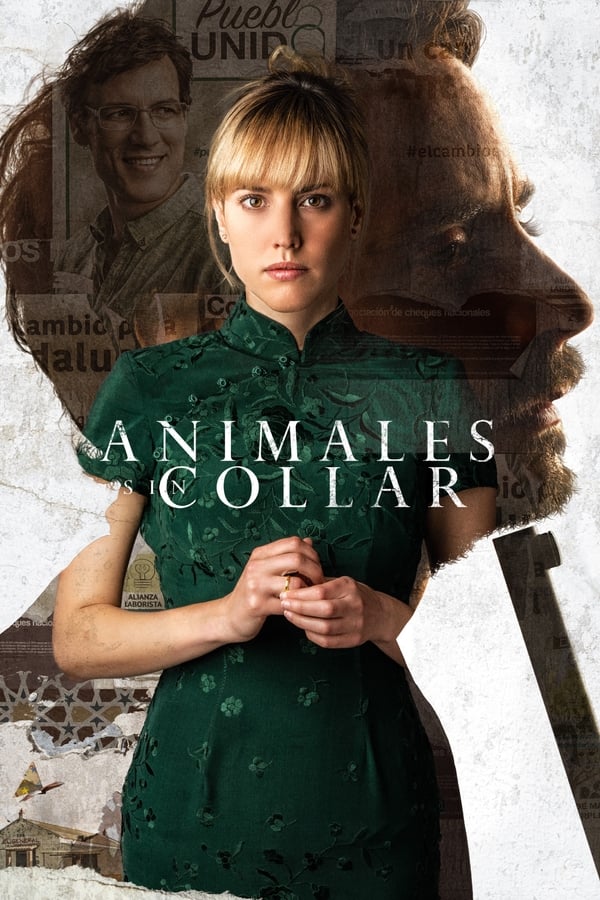 Cover of the movie Animales sin collar