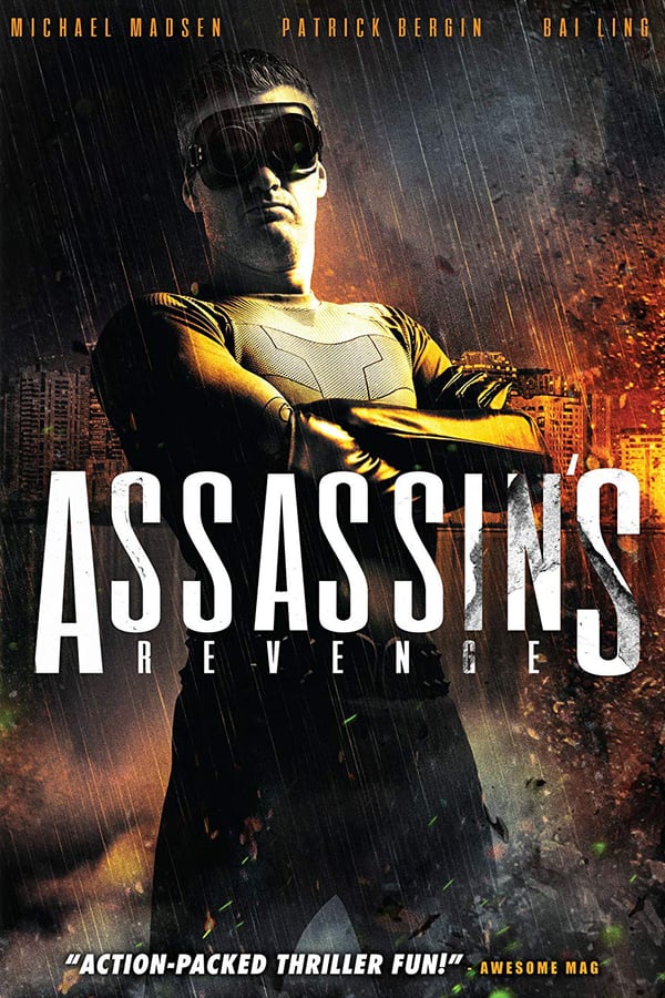 Cover of the movie Assassins Revenge