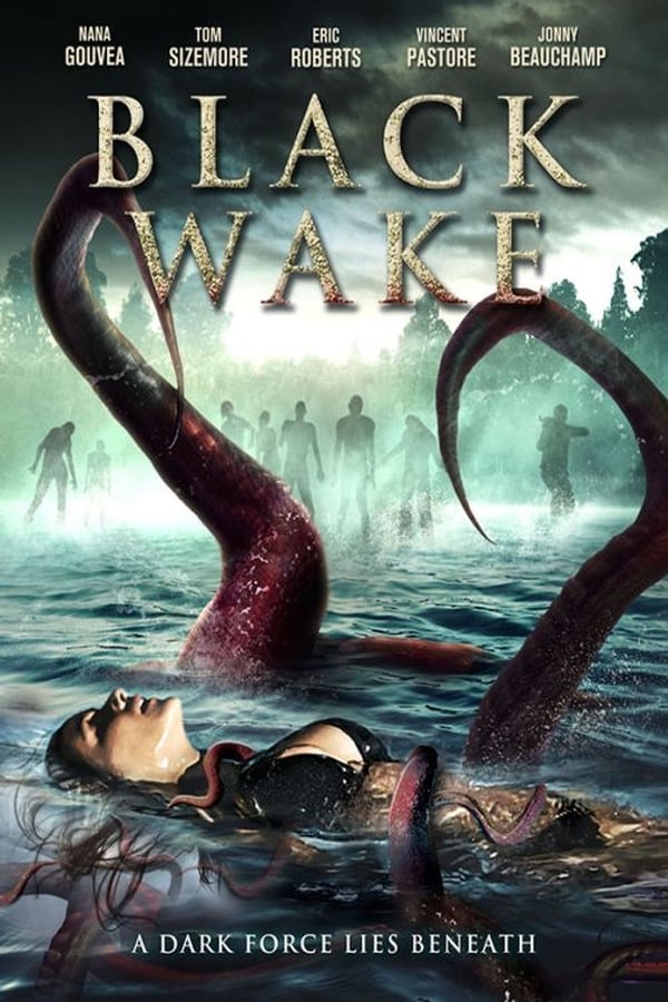 Cover of the movie Black Wake