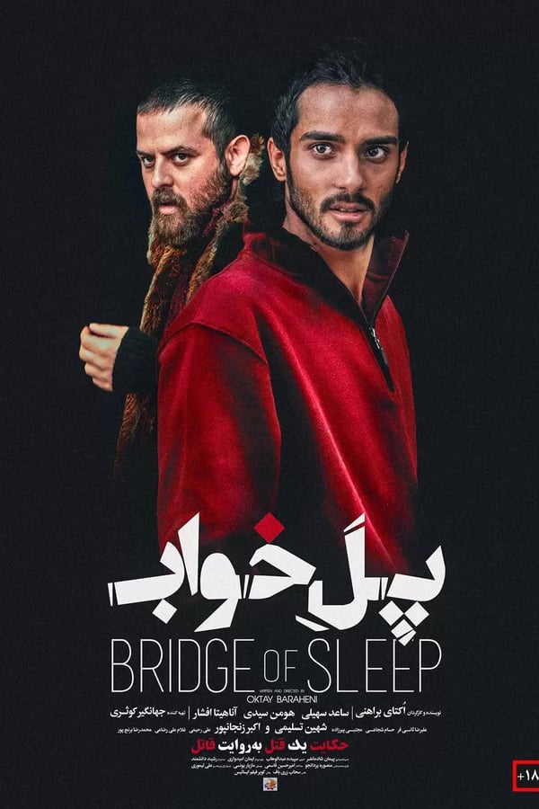 Cover of the movie Bridge of Sleep