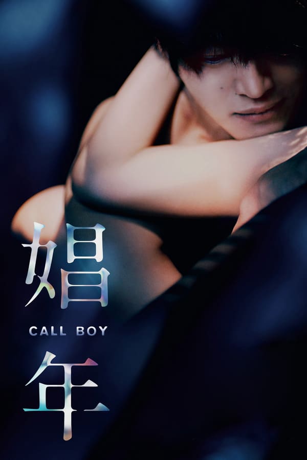 Cover of the movie Call Boy