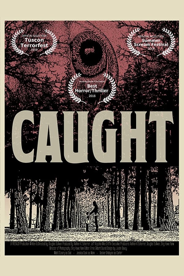 Cover of the movie Caught