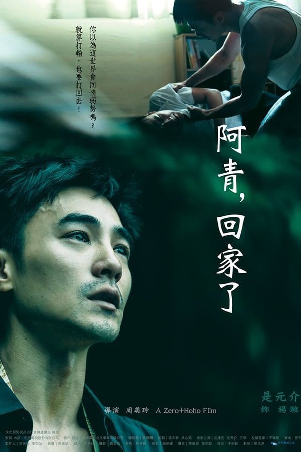 Cover of the movie Ching’s Way Homes