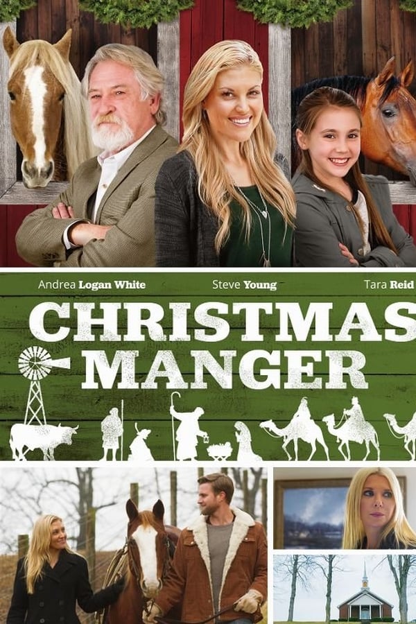 Cover of the movie Christmas Manger