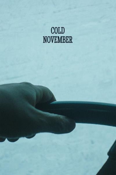 Cover of the movie Cold November