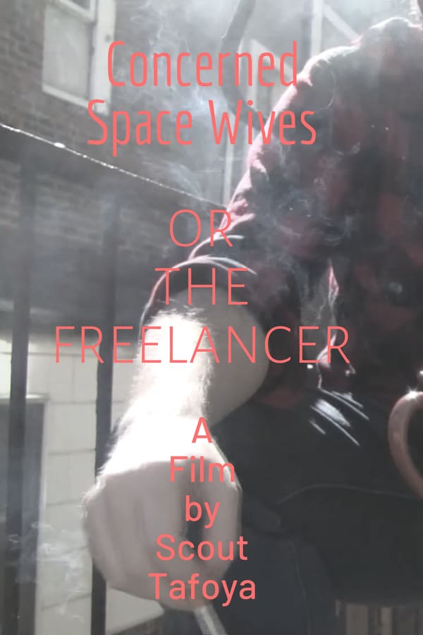 Cover of the movie Concerned Space Wives or The Freelancer