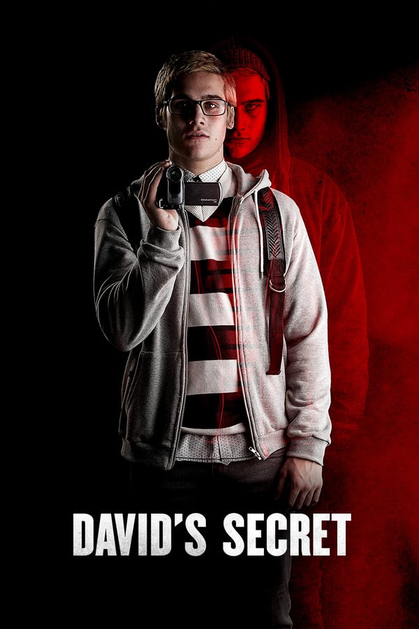 Cover of the movie David's Secret