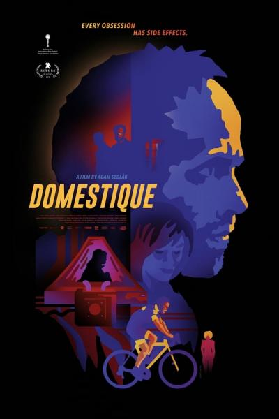 Cover of the movie Domestique
