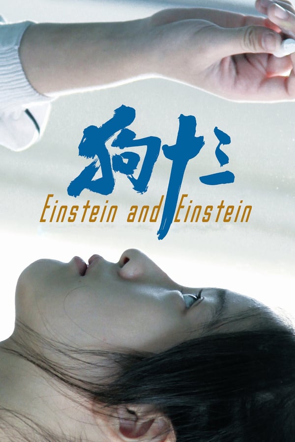 Cover of the movie Einstein and Einstein