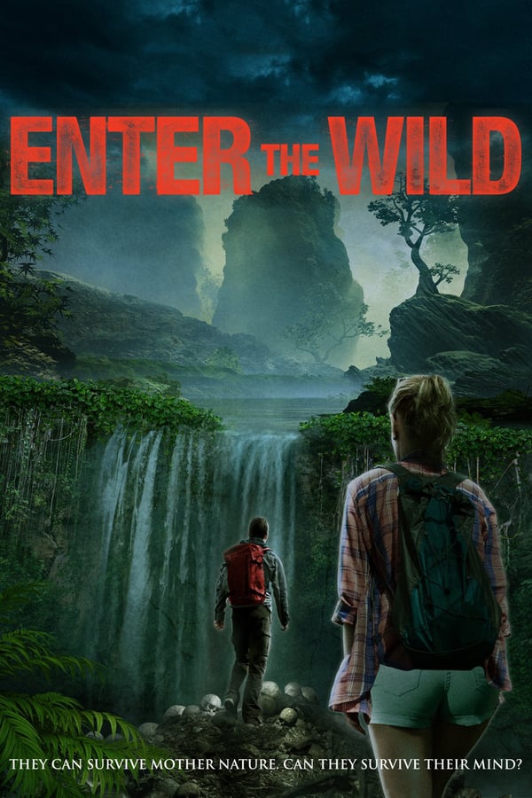 Cover of the movie Enter the Wild