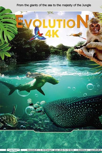 Cover of Evolution 4K