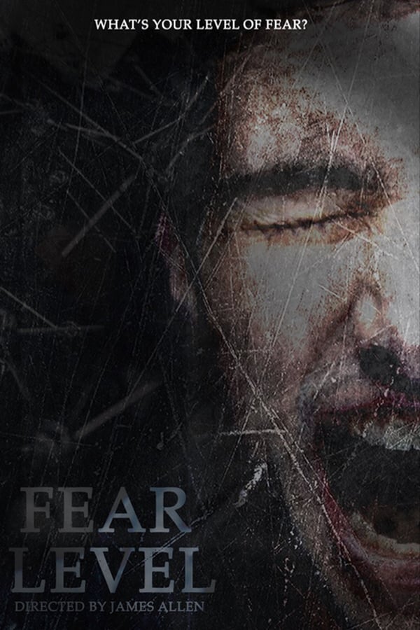 Cover of the movie Fear Level