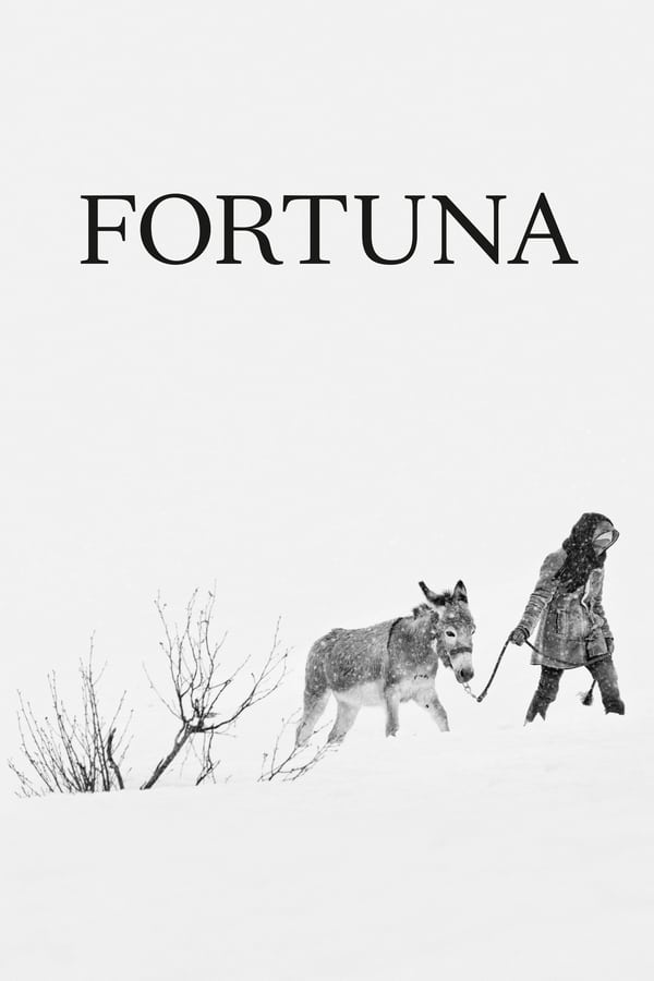 Cover of the movie Fortuna