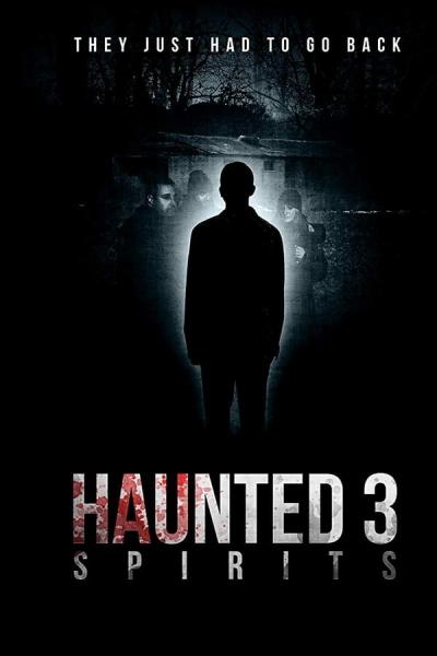 Cover of the movie Haunted 3: Spirits