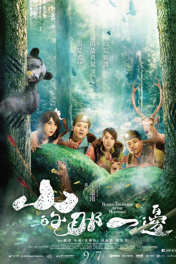 Cover of the movie Hidden Treasures in the Mountain