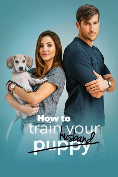 Cover of the movie How to Train Your Husband