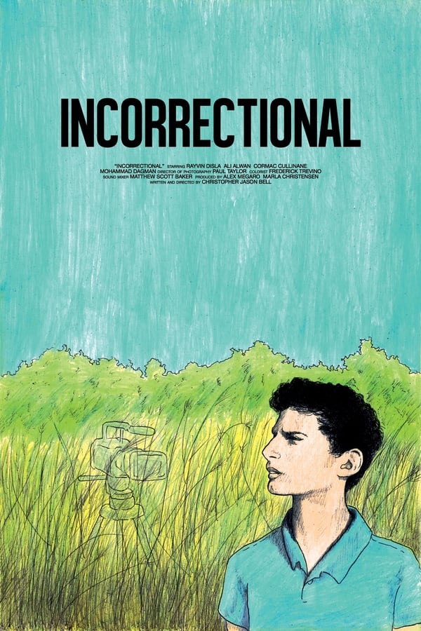 Cover of the movie Incorrectional