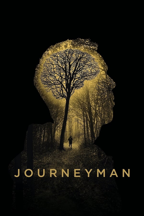 Cover of the movie Journeyman