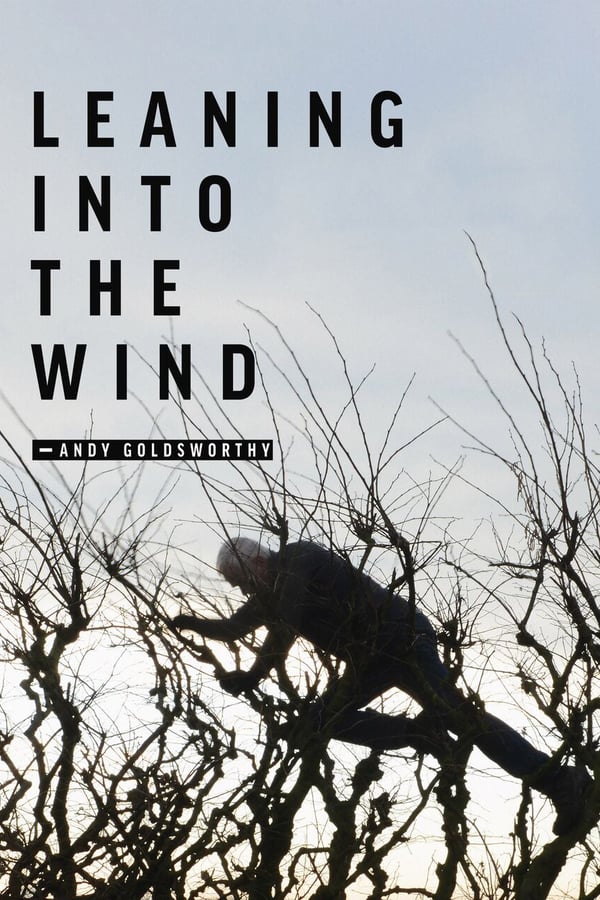 Cover of the movie Leaning Into the Wind: Andy Goldsworthy