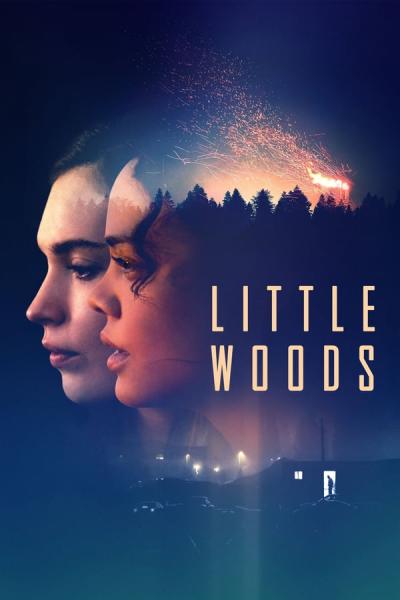 Cover of the movie Little Woods