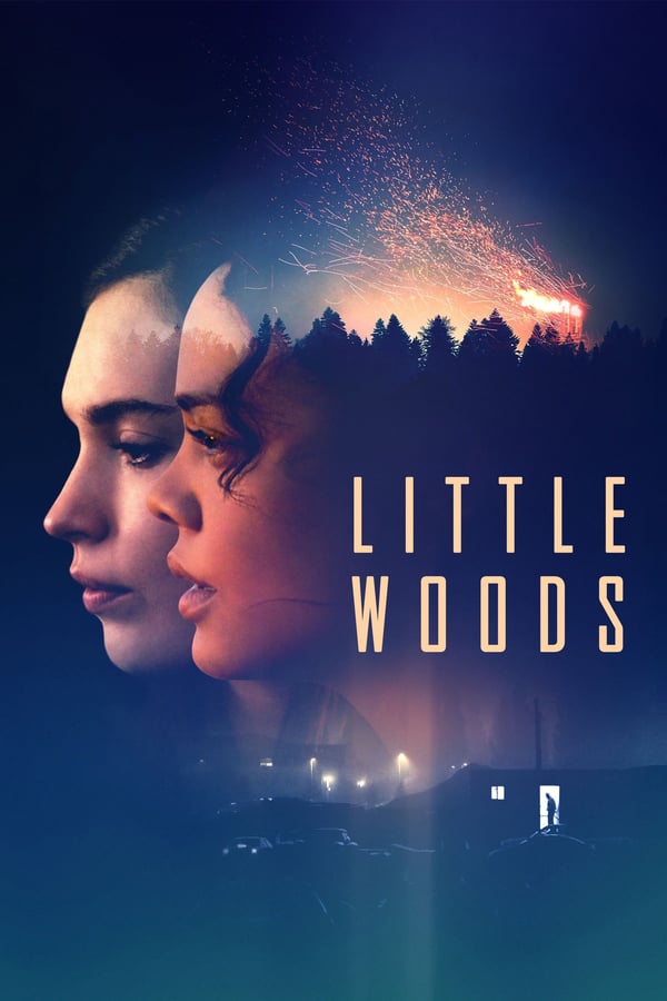 Cover of the movie Little Woods
