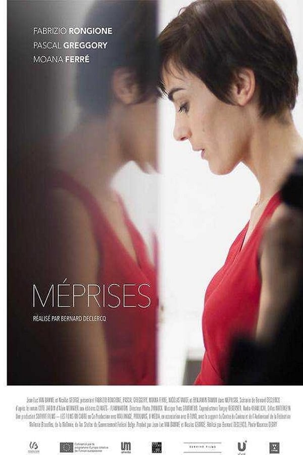 Cover of the movie Méprises