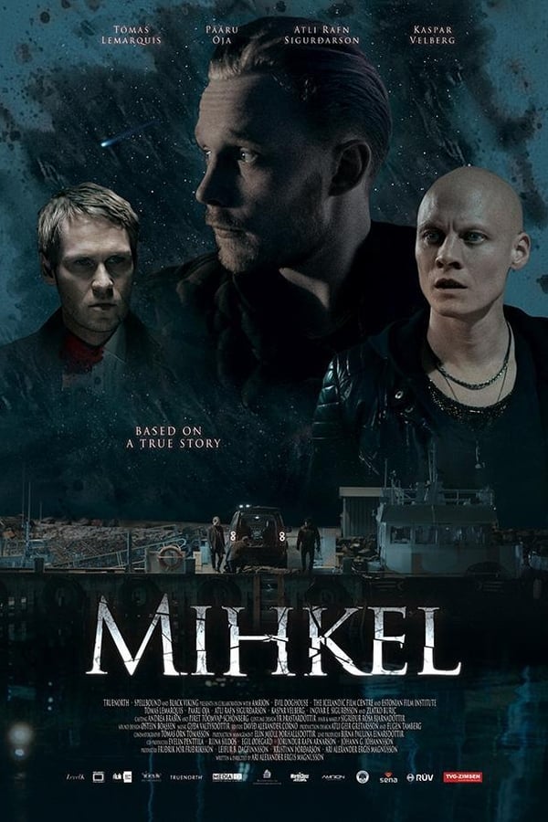 Cover of the movie Mihkel